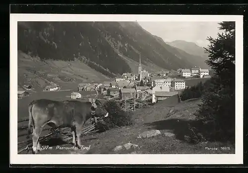 AK Ischgl /Paznauntal, Weidende Kuh mit der Ortschaft im Hintergrund