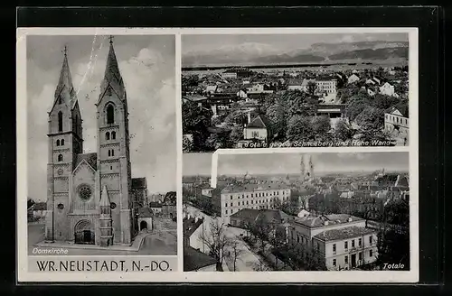 AK Wr. Neustadt, Domkirche, Totalansicht gegen Schneeberg und Hohe Wand