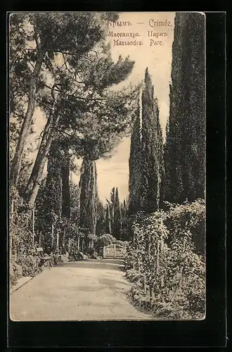 AK Massandra /Crimée, Massandra Parc
