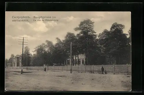 AK Sestrorezk, La rue de Petersbourg