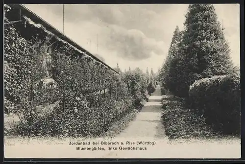 AK Jordanbad bei Biberach /Riss, Blumengärten mit Gewächshaus