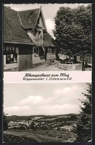 AK Rippenweier i. Odenwald, Höhengsthaus zum Pflug, Panorama