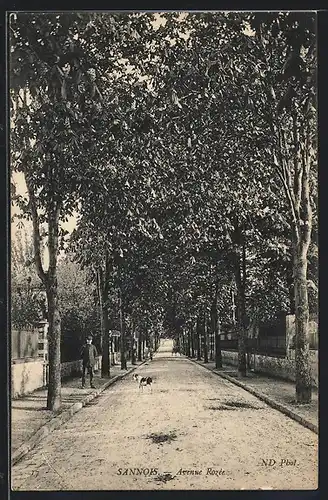 AK Sannois, Avenue Rozée