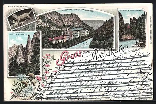 Lithographie Thale, Hotel Waldkater im Bodetal