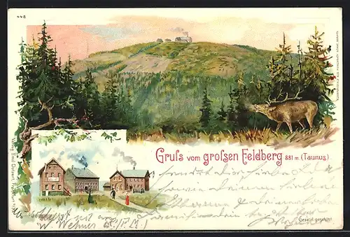 Lithographie Grosser Feldberg / Taunus, Hotel, Panorama