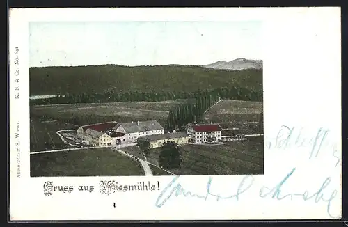 AK Wiesmühl / Alz, Ortspartie