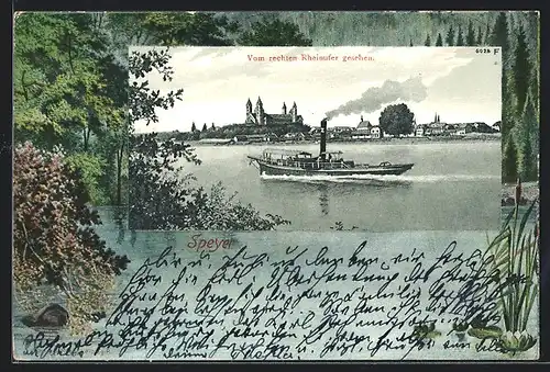 AK Speyer, Dampfer, Vom rechten Rheinufer gesehen