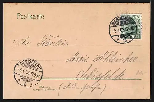 Lithographie Magdeburg, Dom, Hasselbachplatz, Herrenkrug