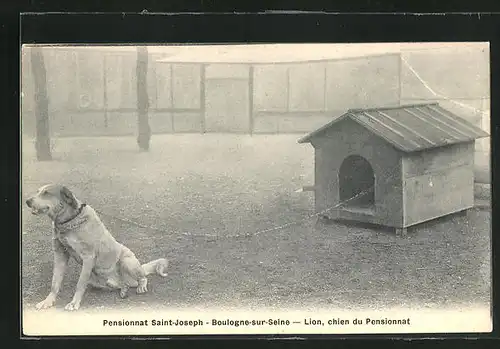 AK Boulogne-sur-Seine, Lion chien du Pensionnat, Hund des Pensionnats