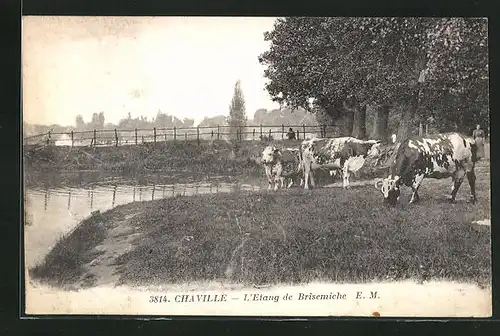 AK Chaville, L`Etang de Brisemiche