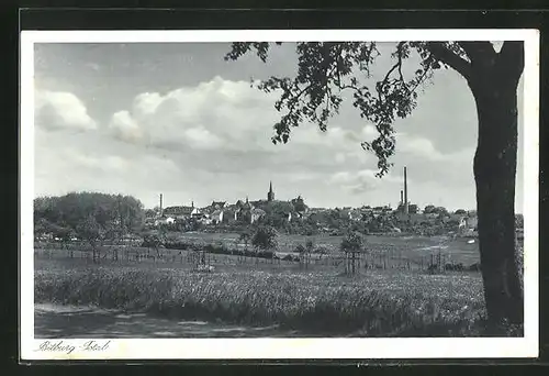 AK Bitburg, Totalansicht