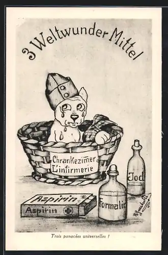 AK Sanitätshund weint wegen verletzter Pfote