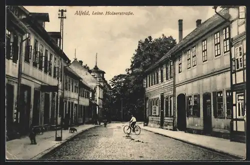 AK Alfeld /Leine, Partie in der Holzerstrasse
