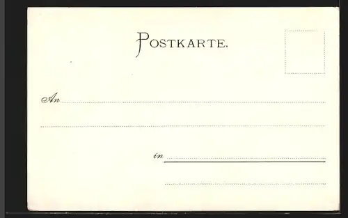 Lithographie Norderney, Dampfer auf hoher See mit Möwe