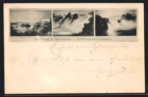 Vorläufer-AK Schaffhausen, 1894, Ansichten vom Rheinfall