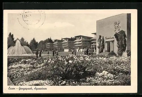 AK Essen, Ausstellung Gruga, Aquarium im Gruga-Park