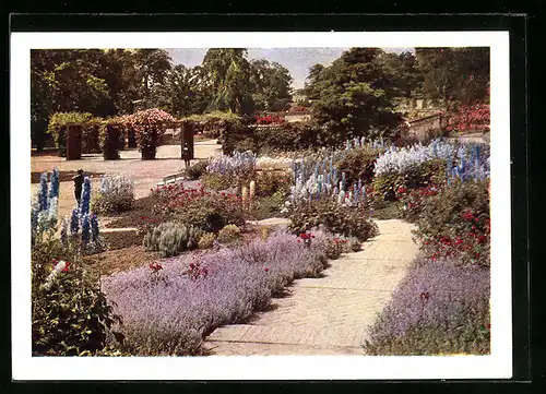 AK Hamburg, Internationale Gartenbau-Ausstellung 1953, Blick vom Rosen- und Ritterspornhügel