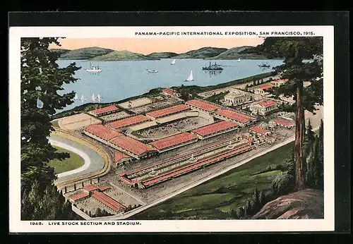 AK San Francisco, Panama-Pacific International Expostion 1915, Live Stock Section and Stadium