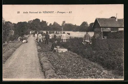 AK Vésinet, Asile National, Potager