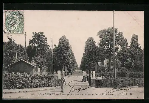 AK Le Vésinet, Passage à niveau, Avenue de la Princesse