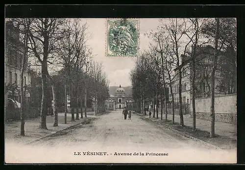 AK Le Vesinet, Avenue de la Princesse