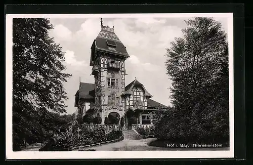 AK Hof i. Bay., Blick auf Theresienstein