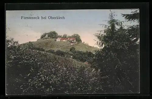 AK Fürsteneck bei Oberkirch, Gebäudeansicht