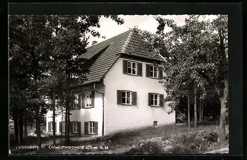 AK Liebelsberg / Schwarzwald, Pension Haus Sophie