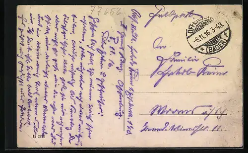 AK Offenburg i. B., Teichanlage im Volksgarten