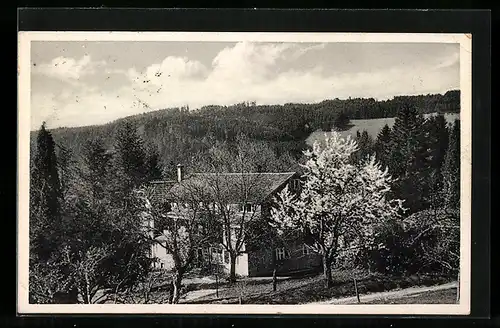 AK Buchenbach / Breisgau, Sanatorium Wiesneck