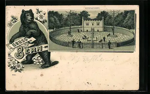 Lithographie Bern, Bärengraben, Gesamtansicht, Bär