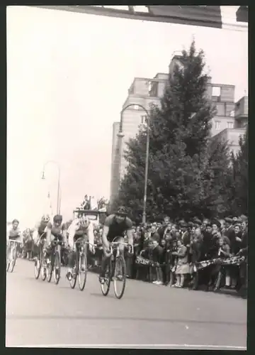 Fotografie Ansicht Wien-Gartenstadt, Radrennen des Postsportvereins Rund um die Gartenstadt, Jedlerseer Strasse