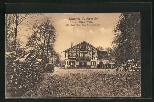 AK Taubensuhl, Blick auf das Kurhaus