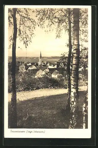 AK Thannhausen / Bayr. Schwaben, Blick aus einem Wäldchen auf den Ort