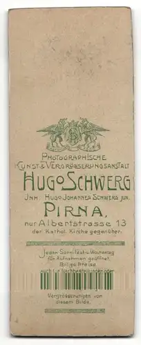 Fotografie Hugo Schwerg, Pirna, Portrait charmanter Herr mit Krawatte im Anzug