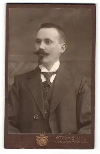 Fotografie Otto Hertel, Freiberg / S., Portrait junger Herr im Anzug mit Krawatte