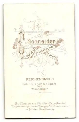 Fotografie C. Schneider, Reichenbach i / V., Portrait junger Mann in eleganter Kleidung mit Fliege