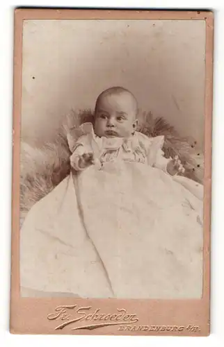 Fotografie Fr. Schroeder, Brandenburg a. H., Portrait niedliches Kleinkind im weissen Kleidchen