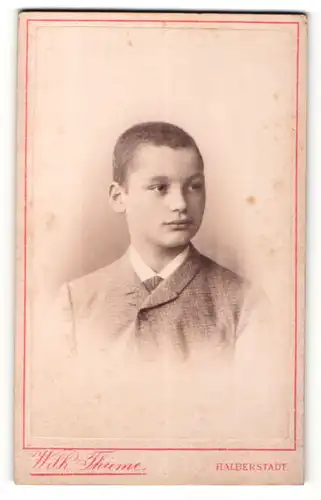 Fotografie Wilh. Thieme, Halberstadt, Portrait junger Mann mit Krawatte im Anzug