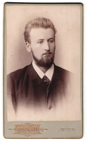 Fotografie Pokorny, Wien, Portrait stattlicher Herr mit Vollbart