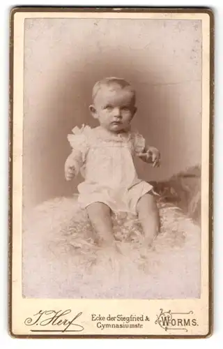 Fotografie J. Herf, Worms, Portrait süsses Baby im weissen Kleid
