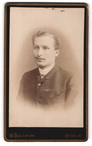 Fotografie W. Dalchow, Egeln, Portrait eleganter Herr mit Oberlippenbart