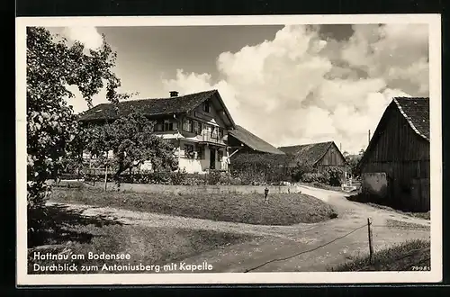 AK Hattnau a. Bodensee, Durchblick zum Antoniusberg mit Kapelle
