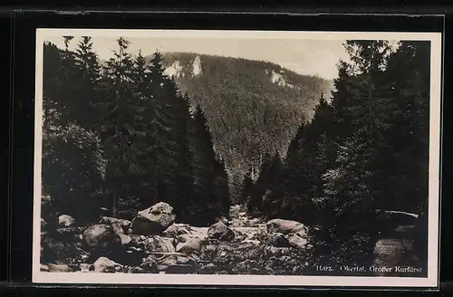 AK Landpoststempel Buntenbock, Clausthal-Zellerfeld 1 Land