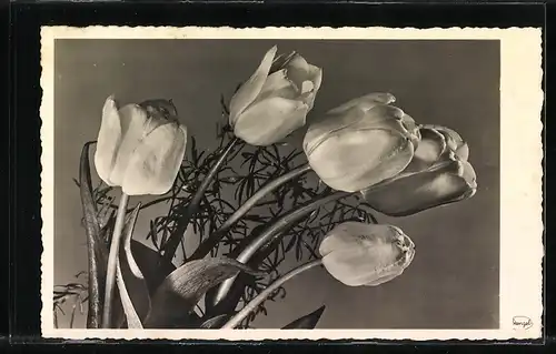 AK Landpoststempel Tröbigau über Bischofswerda /Sachsen