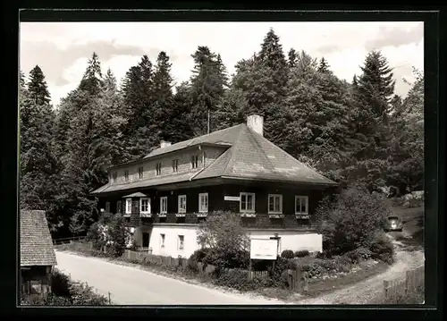 AK Zwiesel, Zwieseler Waldhaus, Pension Illner