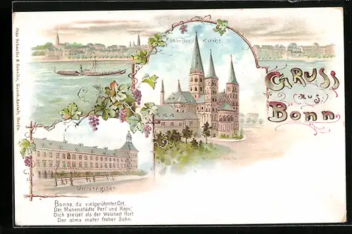 Lithographie Bonn, Panorama der Stadt, Universität