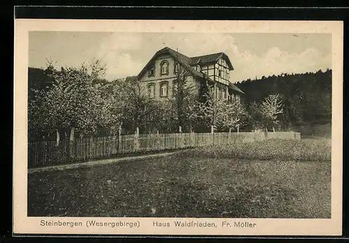 AK Steinbergen /Wesergebirge, Haus Waldfrieden Fr. Möller mit näherer Umgebung