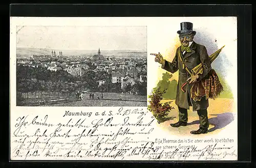 AK Naumburg a. d. Saale, Stadtansicht aus der Ferne