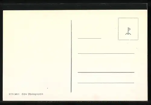 AK Münster i. W., Blick zum Schloss